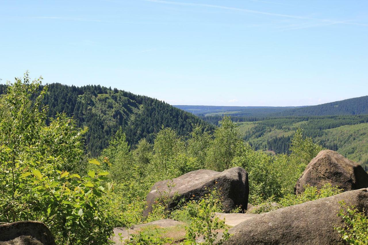 Ferienwohnung An der Bremke Herzberg am Harz Exterior foto